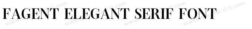 Fagent Elegant Serif Font字体转换